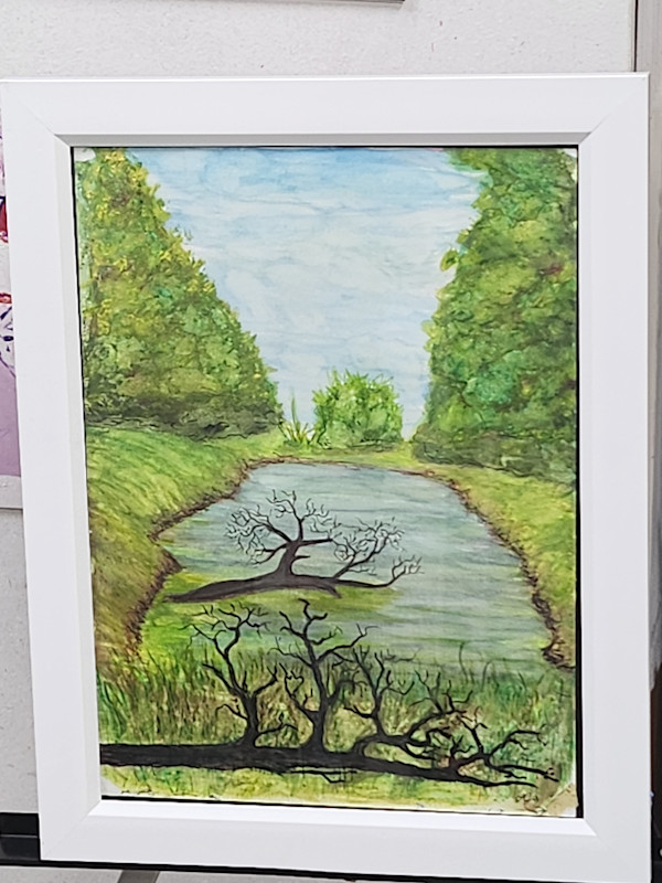 WV Pond by Larry Alexis the junkart dog