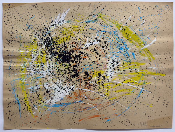 Going Nova by Kathy Skerritt