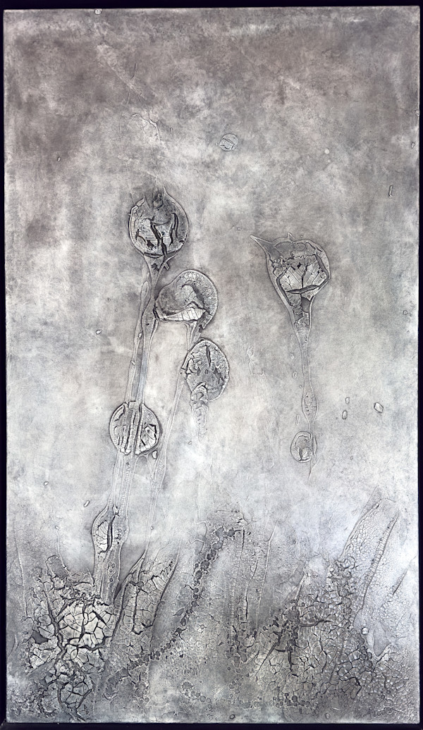Untitled (Evolution series a) by Kathy Skerritt, Image 1.