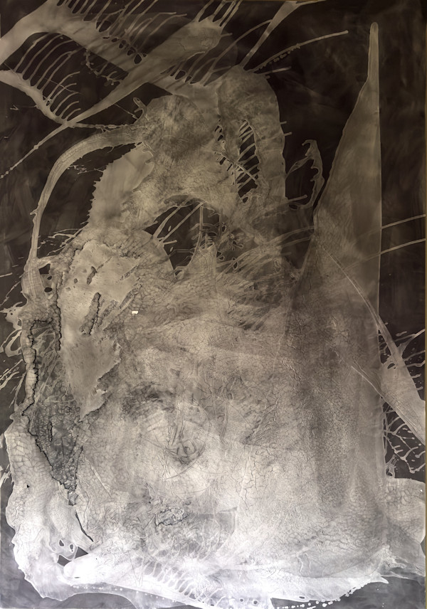 Untitled (black and white 2) by Kathy Skerritt, Image 1.
