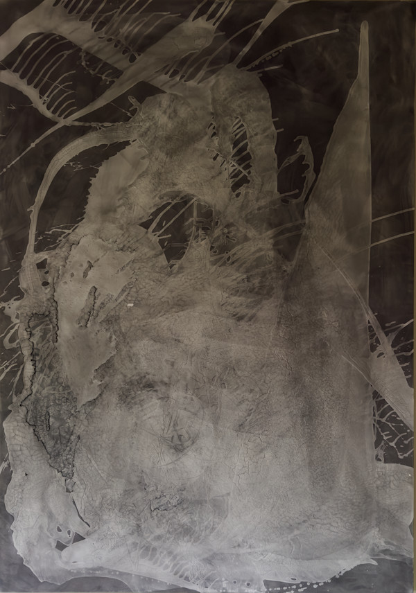 Untitled (black and white) by Kathy Skerritt