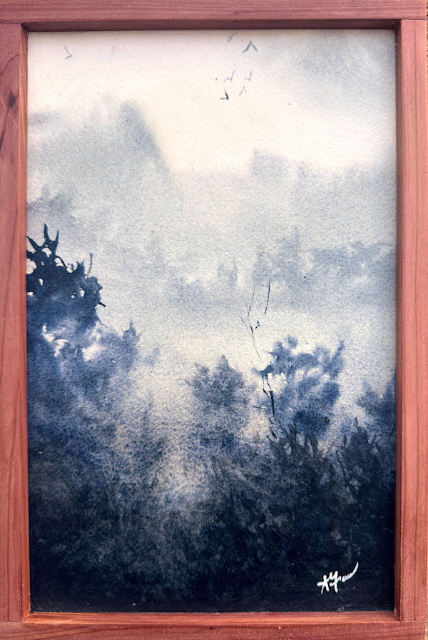 Indigo Dreams by Sarah Graves