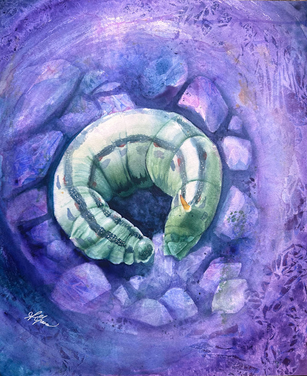Burrowing by Sarah Graves