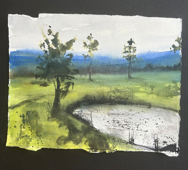 Where I Disappear by Sarah Graves