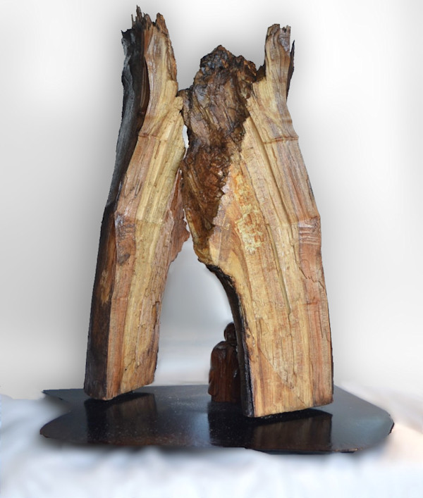 Haven by ADAM TRIPLETT