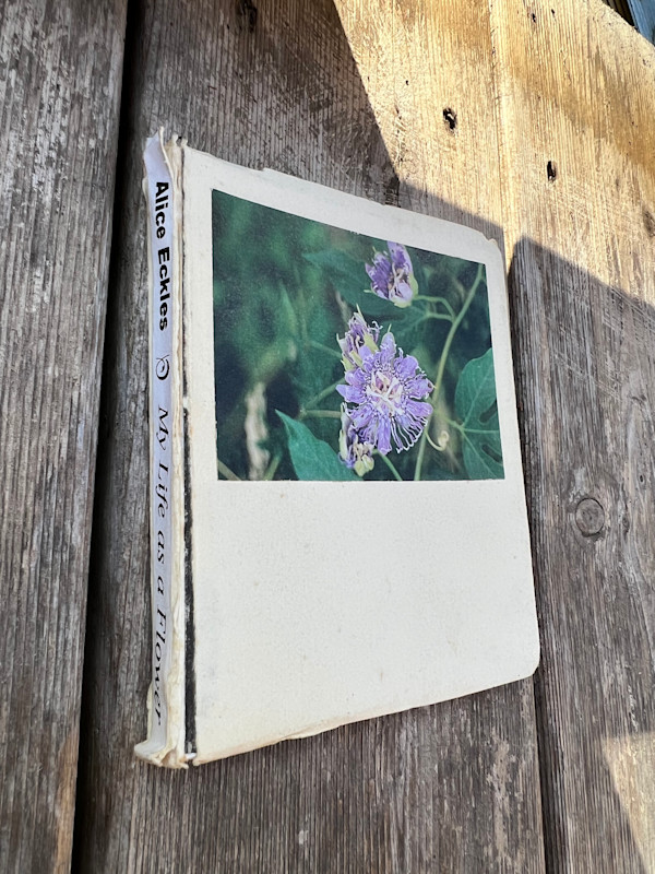 My life as a flower by Alice Eckles