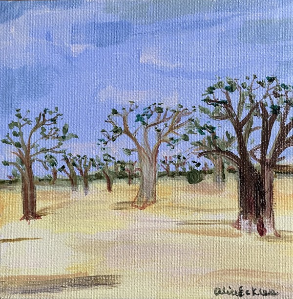 Baobab trees by Alice Eckles
