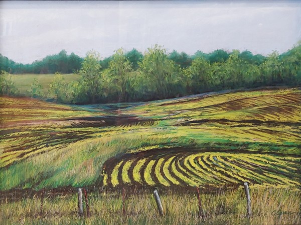 Spring Green by Carol Gunn