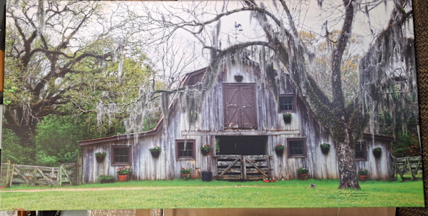Moss covered Trees and Barn by Jerry Granaman