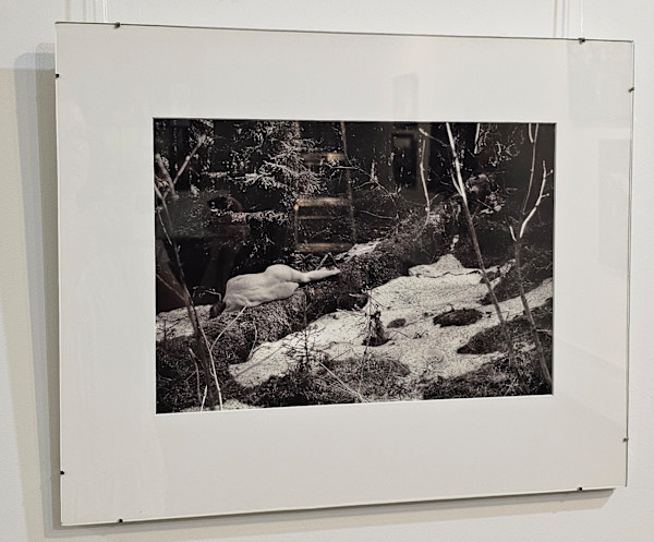 “On Moss Log” by Cherie Sampson