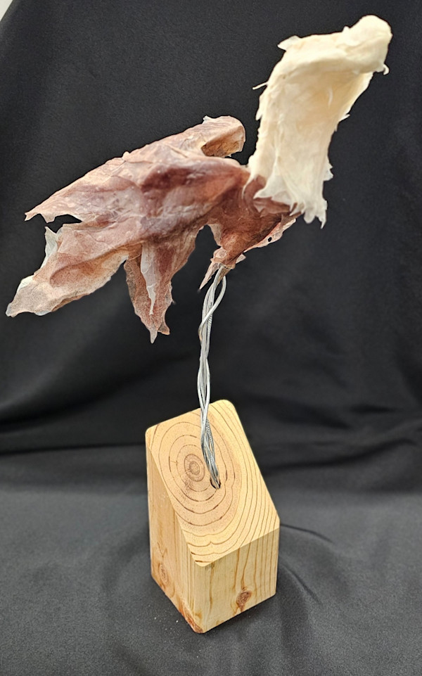 Bald Eagle by Lori Illner Greene, Image 2.