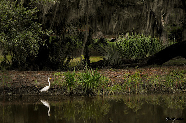 Avery Island by Jerry Granaman