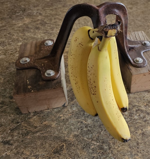 Banana Holder by Curt Swarm