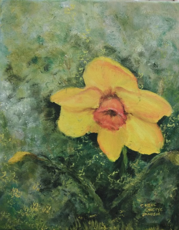 Lone Daffodil by Carol Janosik