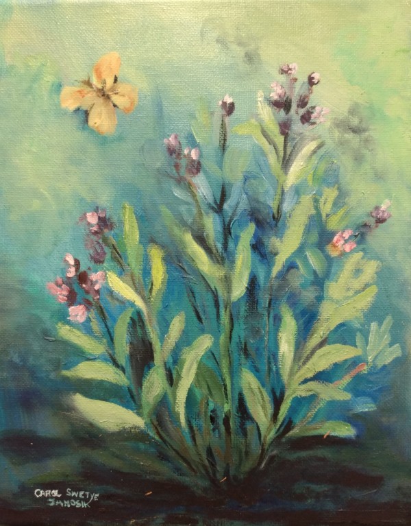 Garden Sage by Carol Janosik
