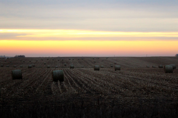 Hay Bales by Amy Clark