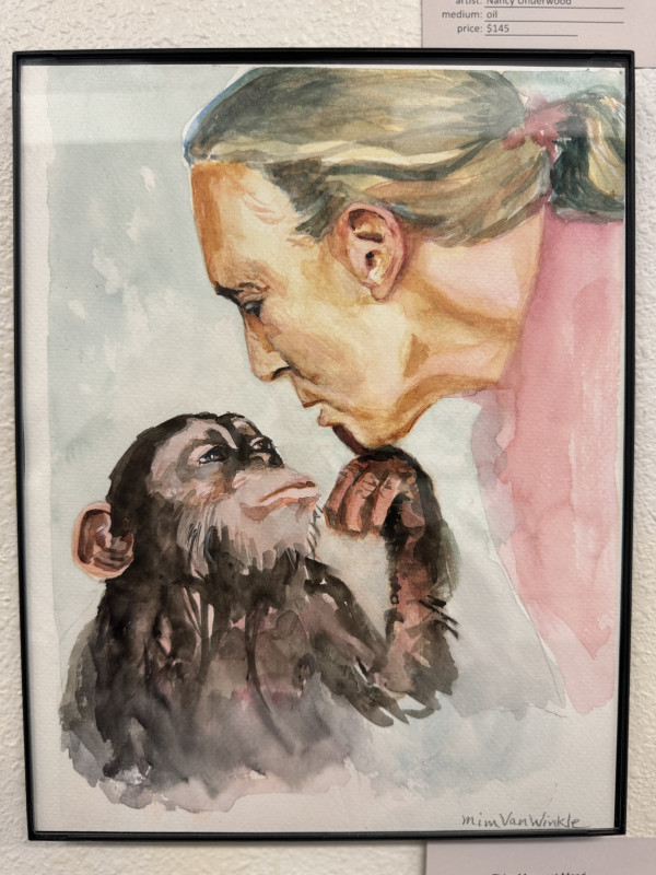 Jane Goodall by Mim Van Winkle
