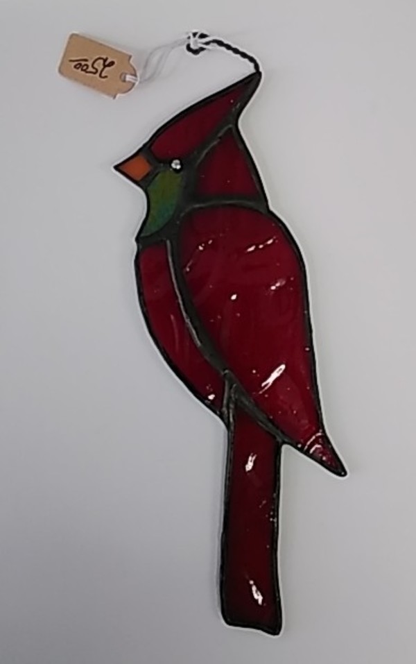 red cardinal bird by Craig Wills