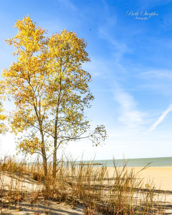 Fall Day on Presque Isle by Beth Steeples