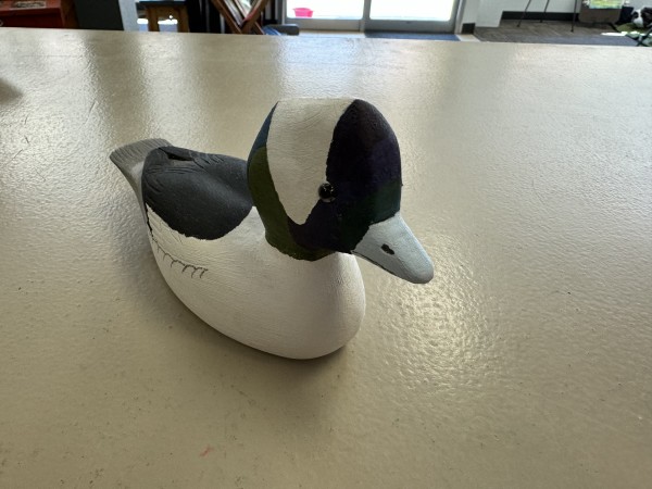 Bufflehead Duck by Ellsworth Dodds