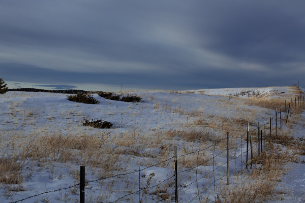 Snowy Field by Amy Clark