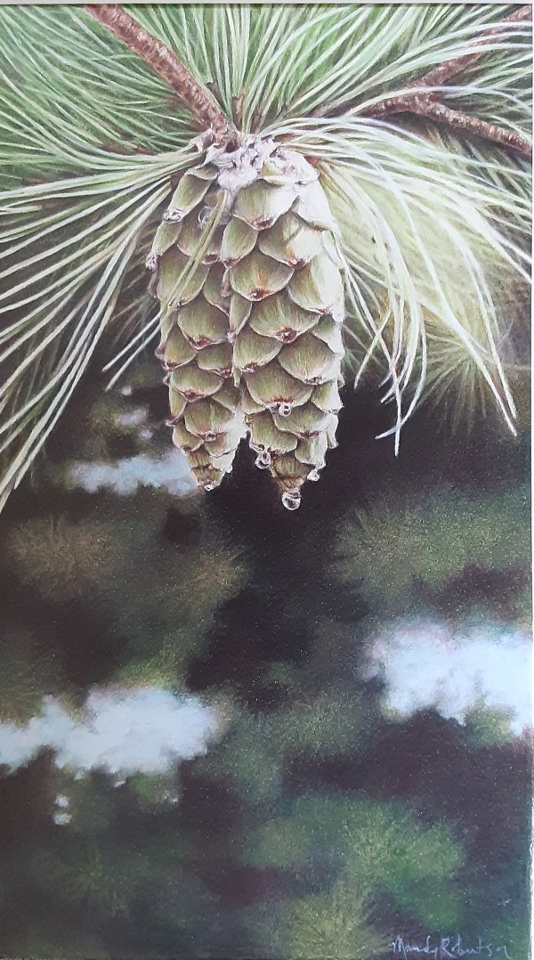 Springtime Pinecones by Mandy Robertson