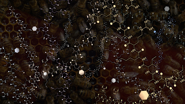 "Substance of Venom" by Cherie Sampson
