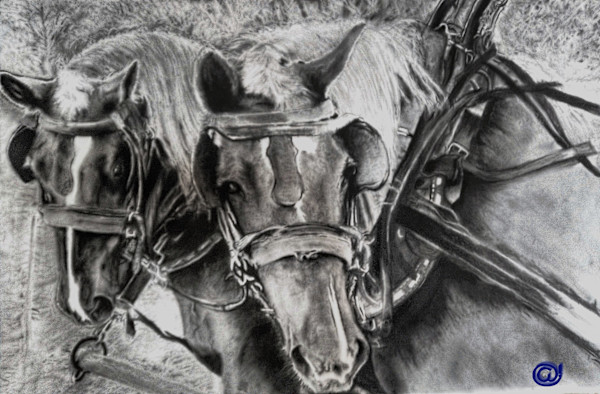 Teamwork by Anthony Franklin
