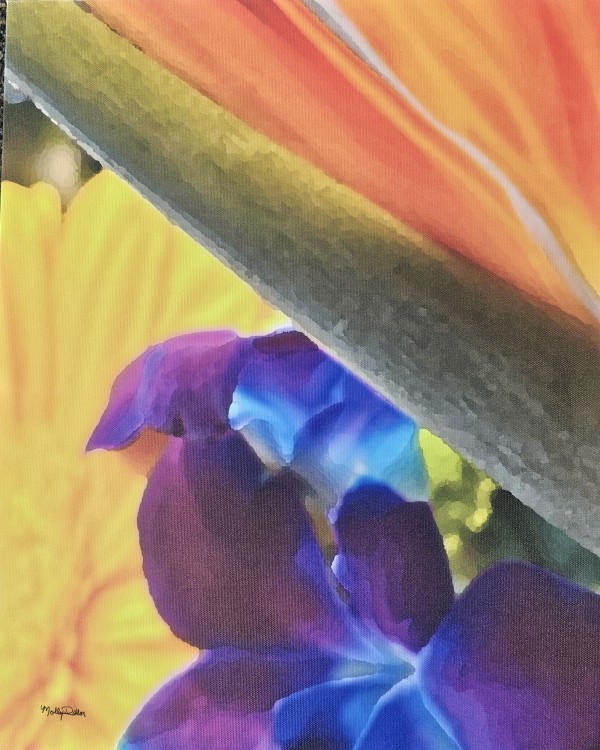 Bird of Paradise by Molly Dillon