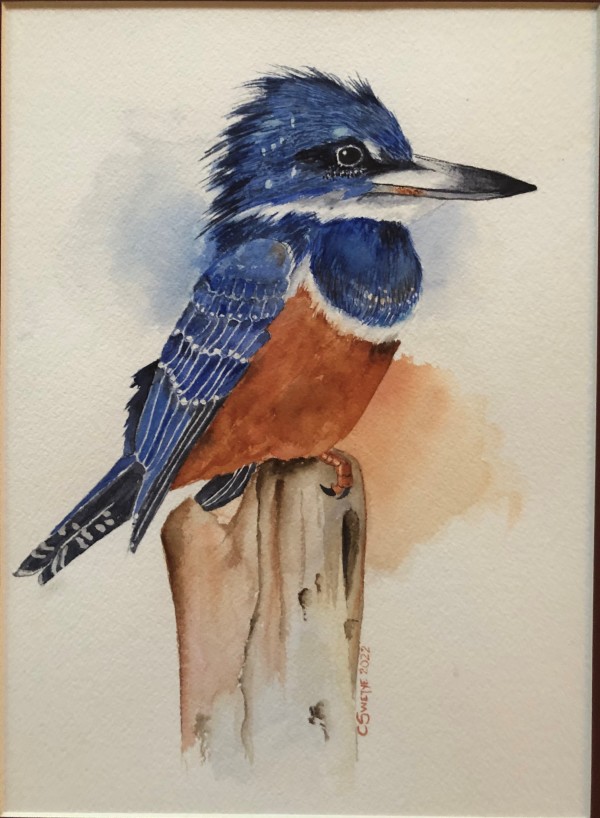 Ringed Kingfisher by Christine White Swetye
