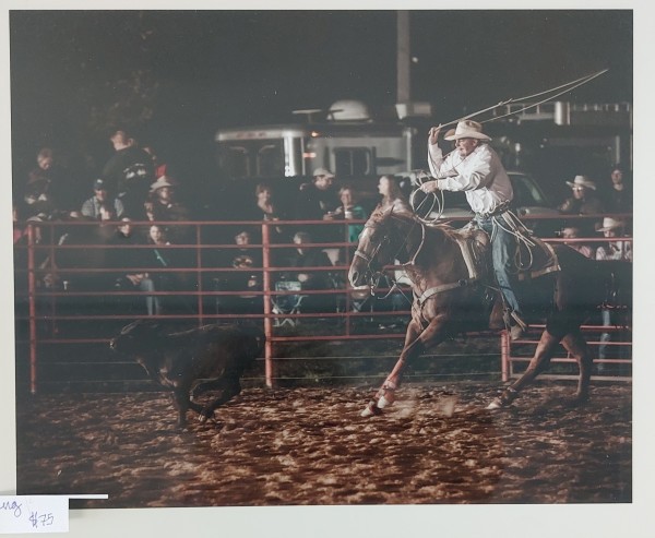 Calf Roping by Marc Wallace