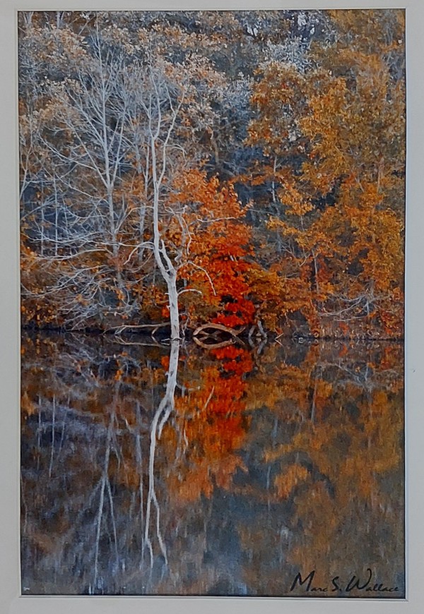 Fall Reflection by Marc Wallace