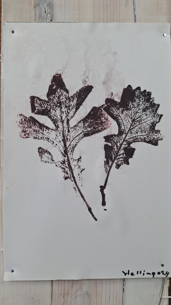 Fall Leaves by Steve Helling