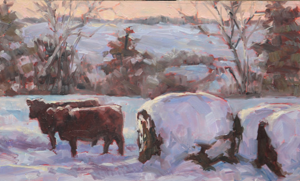 Snow Covered Cattle and Bales by Carlene Dingman Atwater