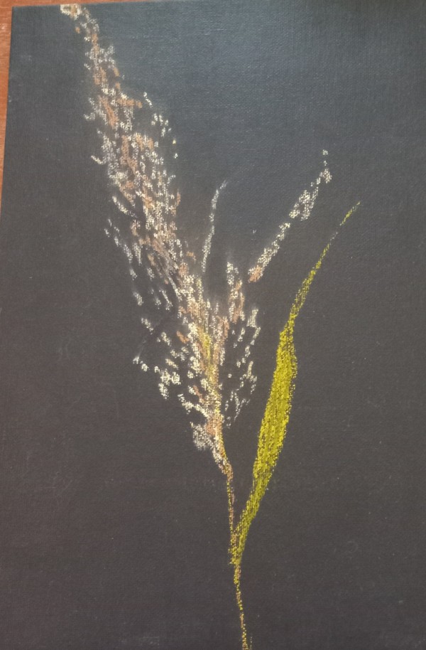 Shades of Brown by Lora Kelly-Benck, Image 1.