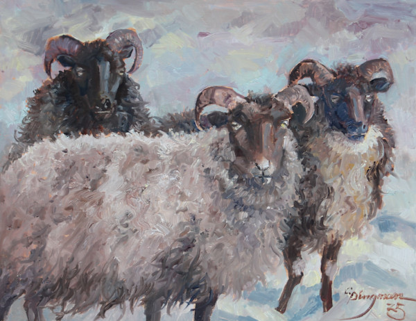 Icelandic Sheep by Carlene Dingman Atwater