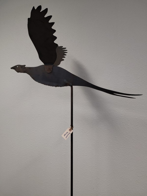 Pheasant by Curt Swarm