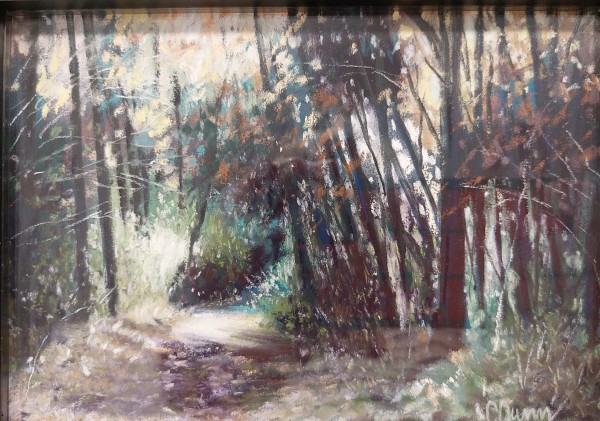 The Woods Are Lovely Dark and Deep by Carol Gunn
