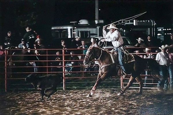 Calf Roping - Working Together by Marc Wallace