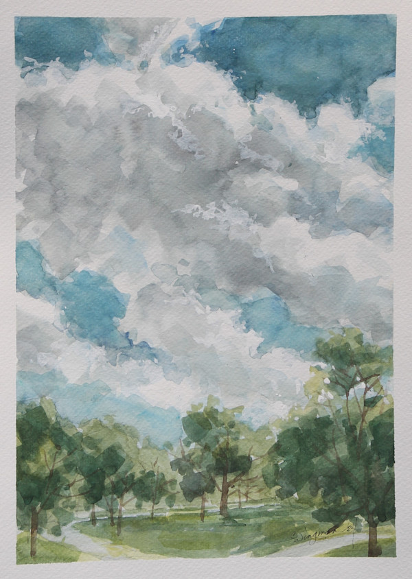 Cloud Study (plein air) by Carlene Dingman Atwater
