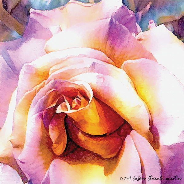 Rose by Susan Straub-Martin