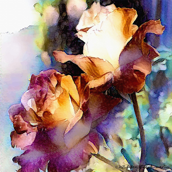 Roses by Susan Straub-Martin