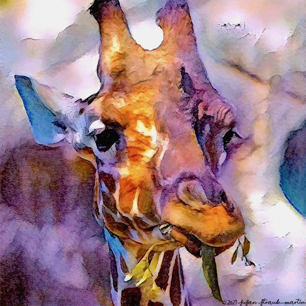 Giraffe by Susan Straub-Martin