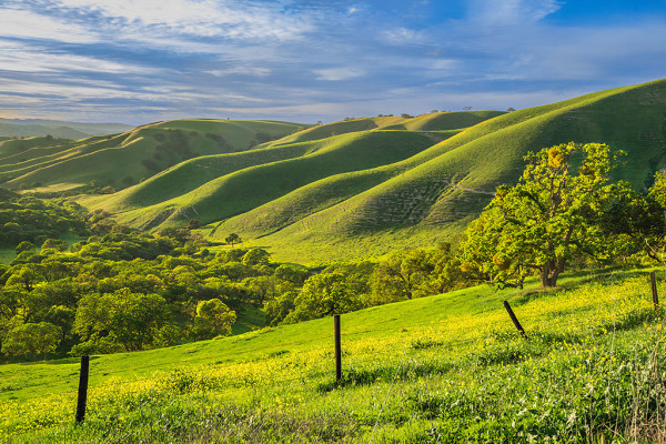 Sunset Light on Oaks and Green Hills, Lake Del Valle Regional Park, Alameda County, California by Rob Badger