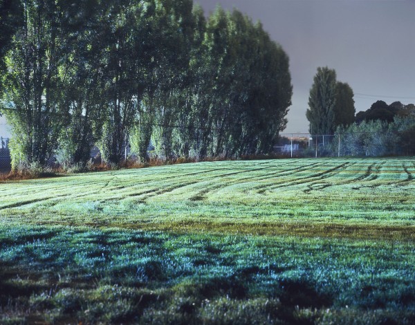 Tracks in Field by John Vias