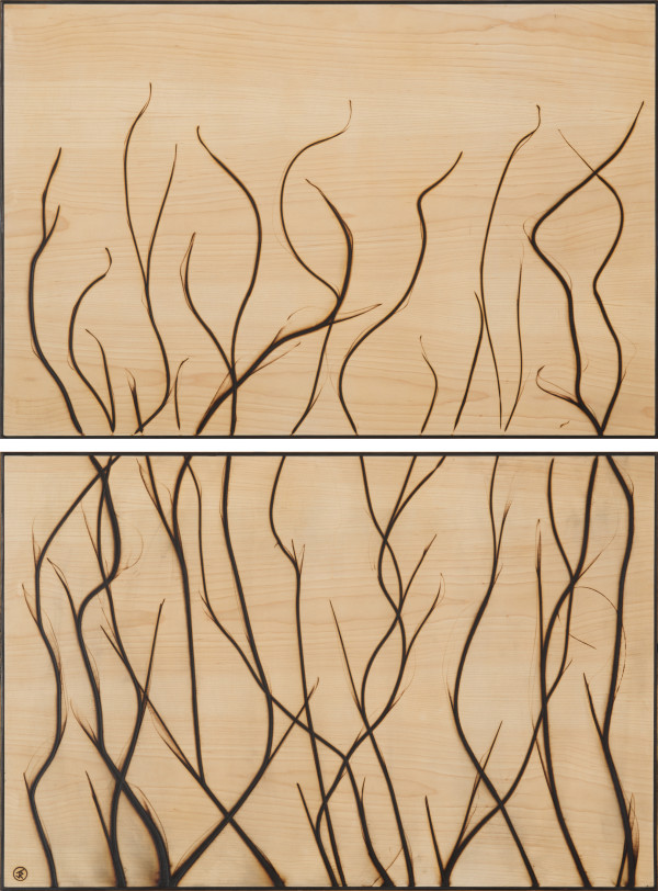 Burnt Panel Diptych No. 81 by Jonah Ward