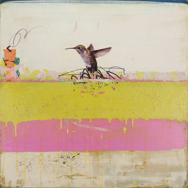 Allen's Hummingbird by Michael Cutlip