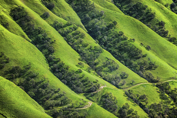 Ridges near Lake Del Valle by Barrie Rokeach