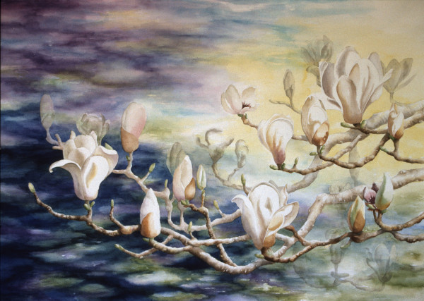 Magnolia III by Shari Arai DeBoer