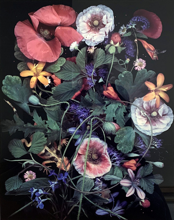 Poppies by Susan Felter, Image 1.